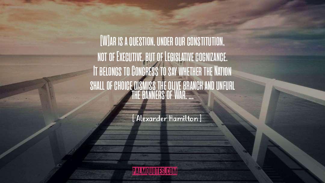 Cognizance quotes by Alexander Hamilton