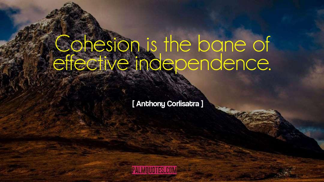 Cohesion quotes by Anthony Corlisatra