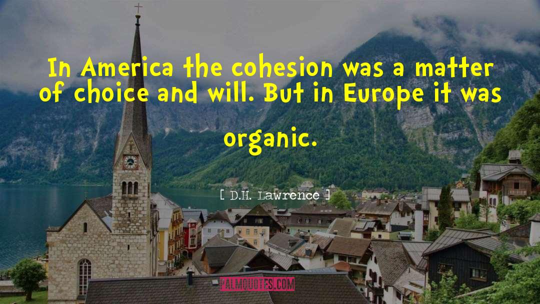 Cohesion quotes by D.H. Lawrence