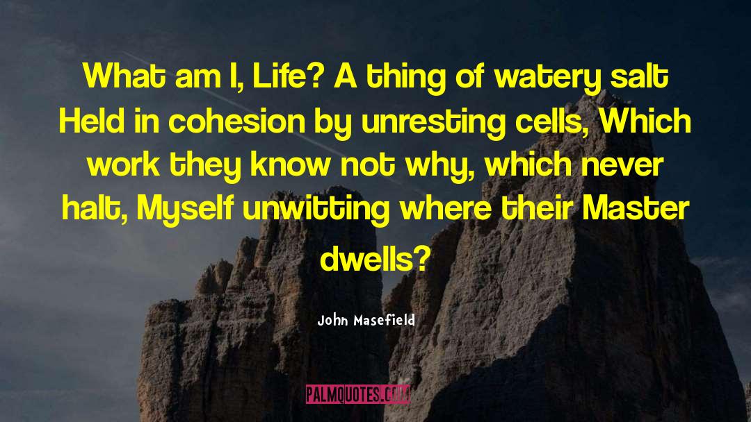 Cohesion quotes by John Masefield