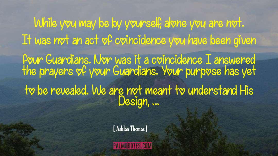 Coincidence quotes by Ashlan Thomas