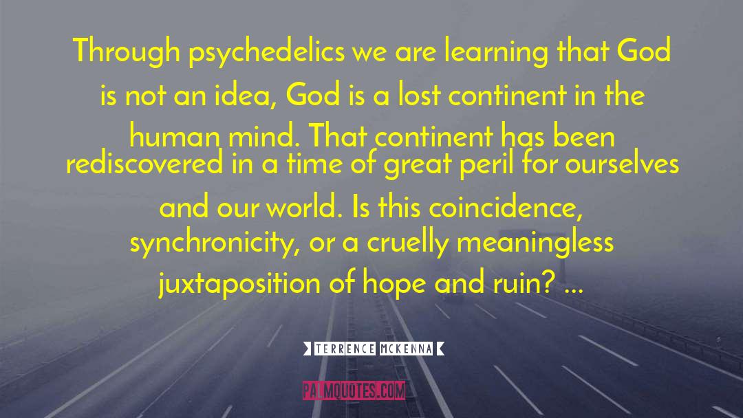 Coincidence quotes by Terrence McKenna