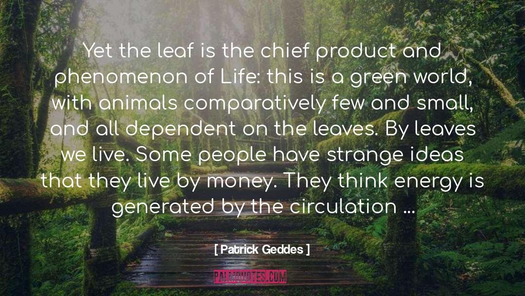 Coins quotes by Patrick Geddes