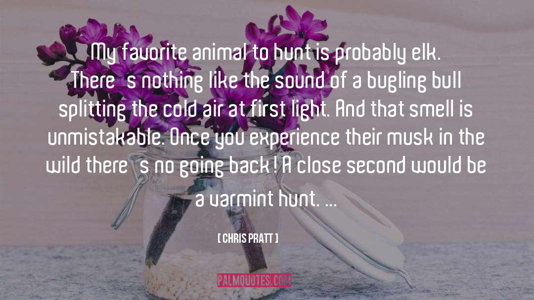 Cold Air quotes by Chris Pratt