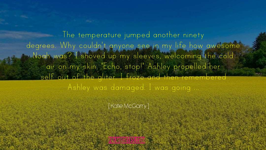 Cold Air quotes by Katie McGarry