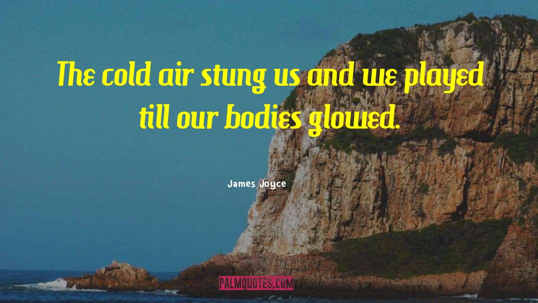 Cold Air quotes by James Joyce