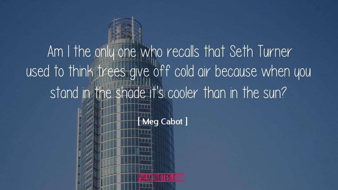 Cold Air quotes by Meg Cabot