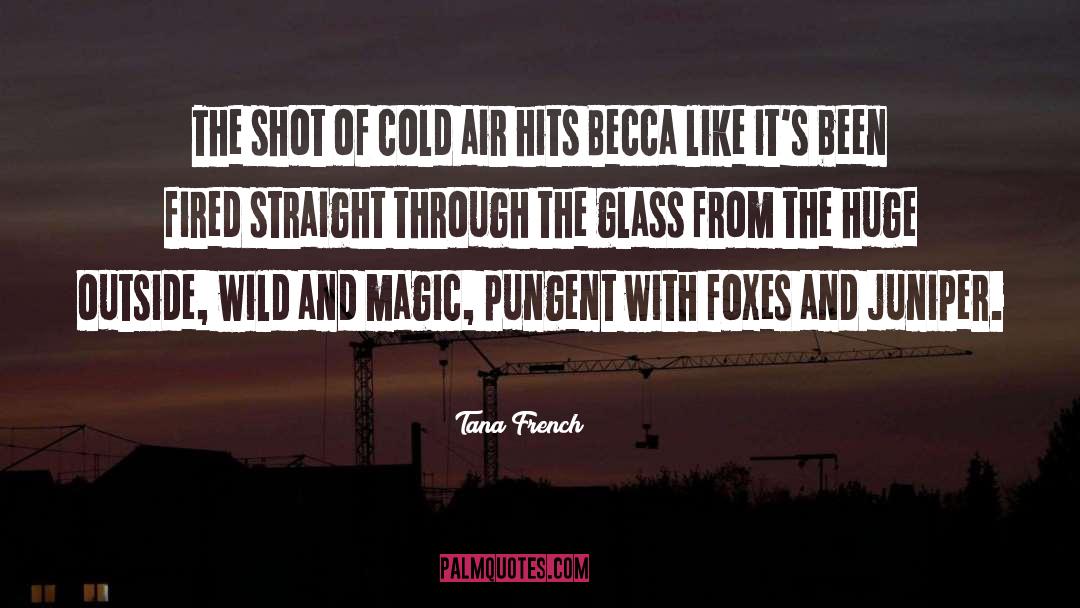 Cold Air quotes by Tana French