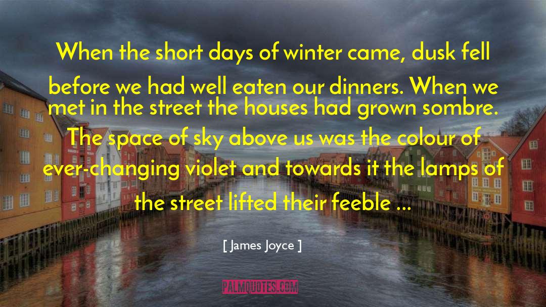 Cold Air quotes by James Joyce