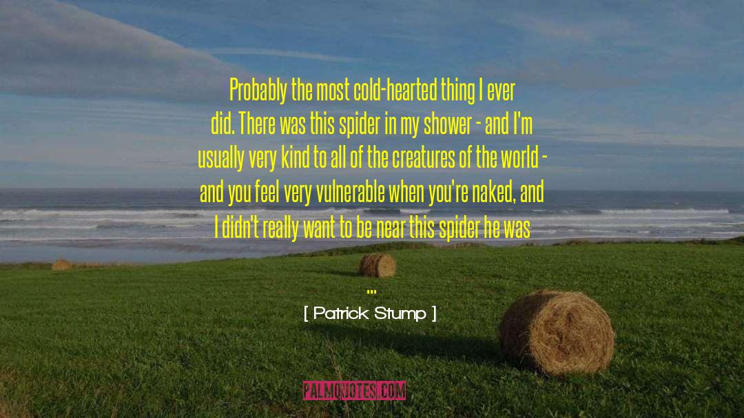 Cold Hearted quotes by Patrick Stump