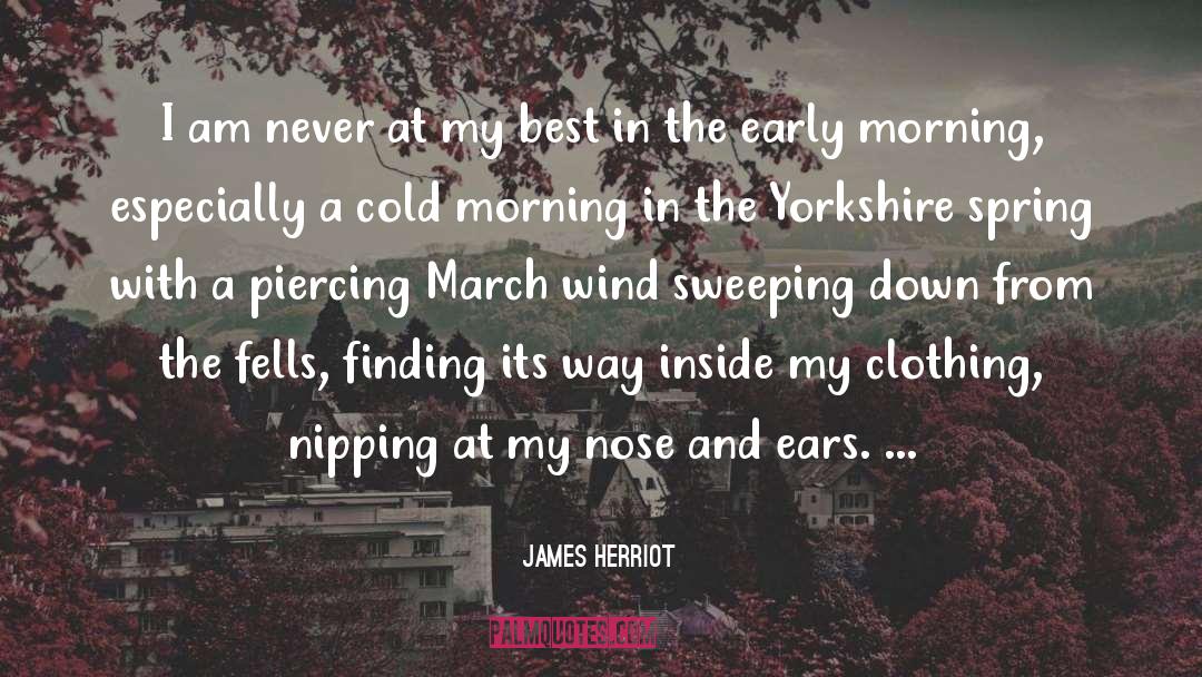 Cold Morning Breeze quotes by James Herriot