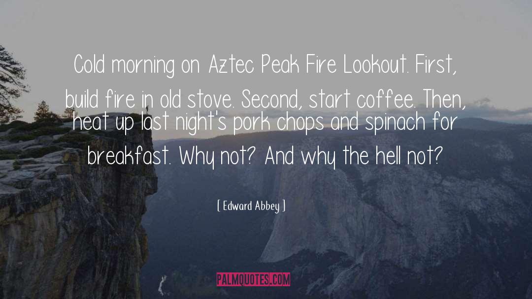 Cold Morning Breeze quotes by Edward Abbey