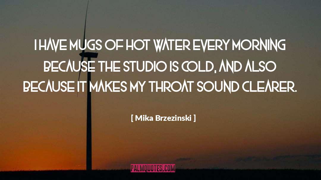 Cold Morning Breeze quotes by Mika Brzezinski