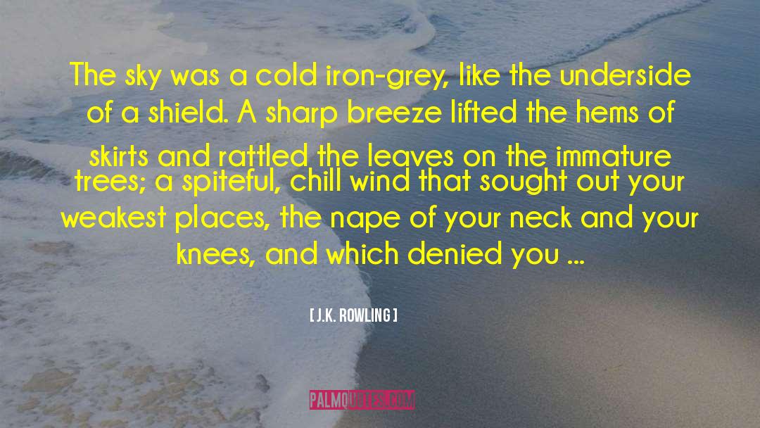 Cold Morning Breeze quotes by J.K. Rowling