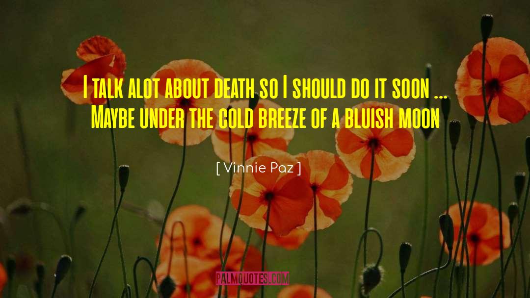 Cold Morning Breeze quotes by Vinnie Paz