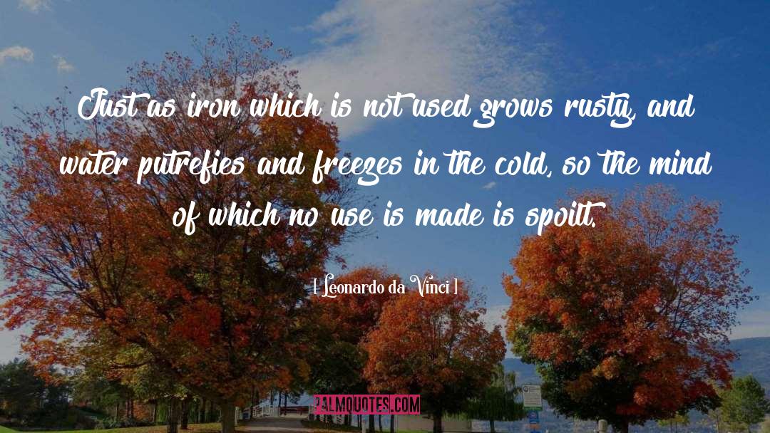 Cold Mornings quotes by Leonardo Da Vinci