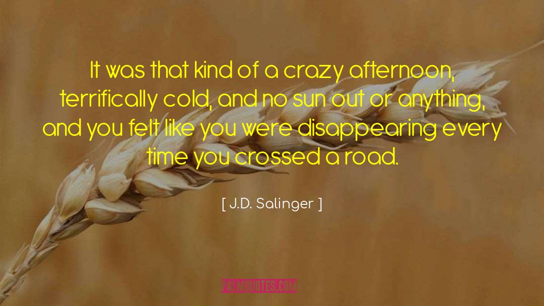 Cold Mornings quotes by J.D. Salinger
