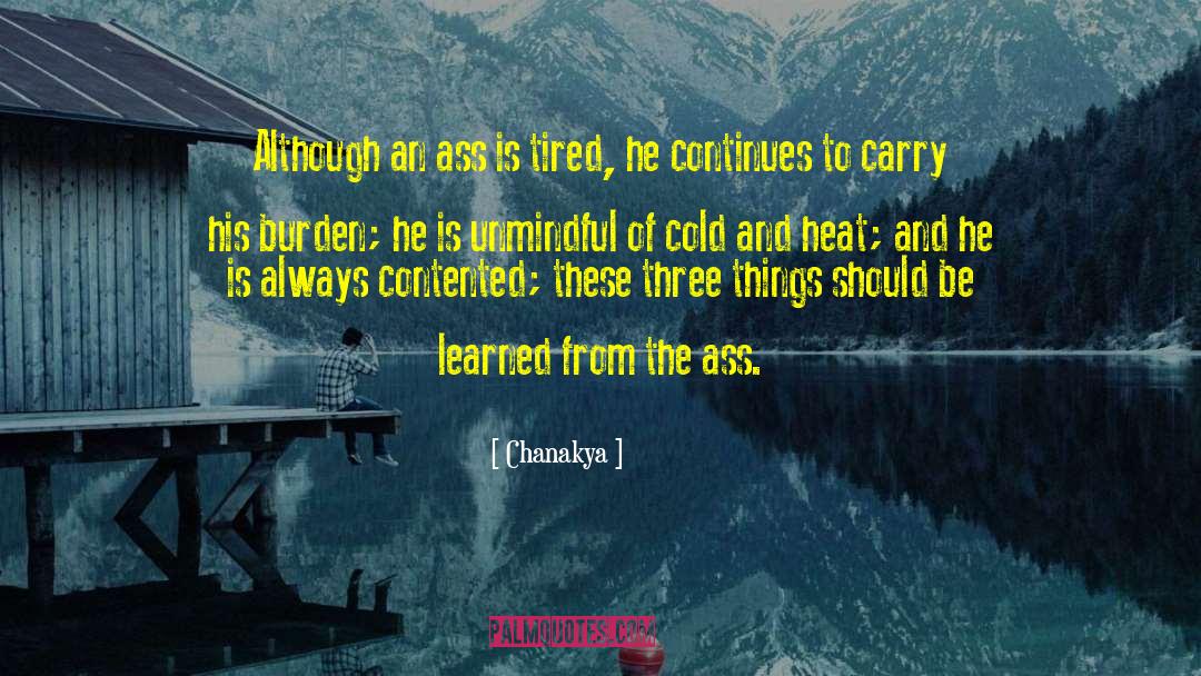 Cold Mornings quotes by Chanakya
