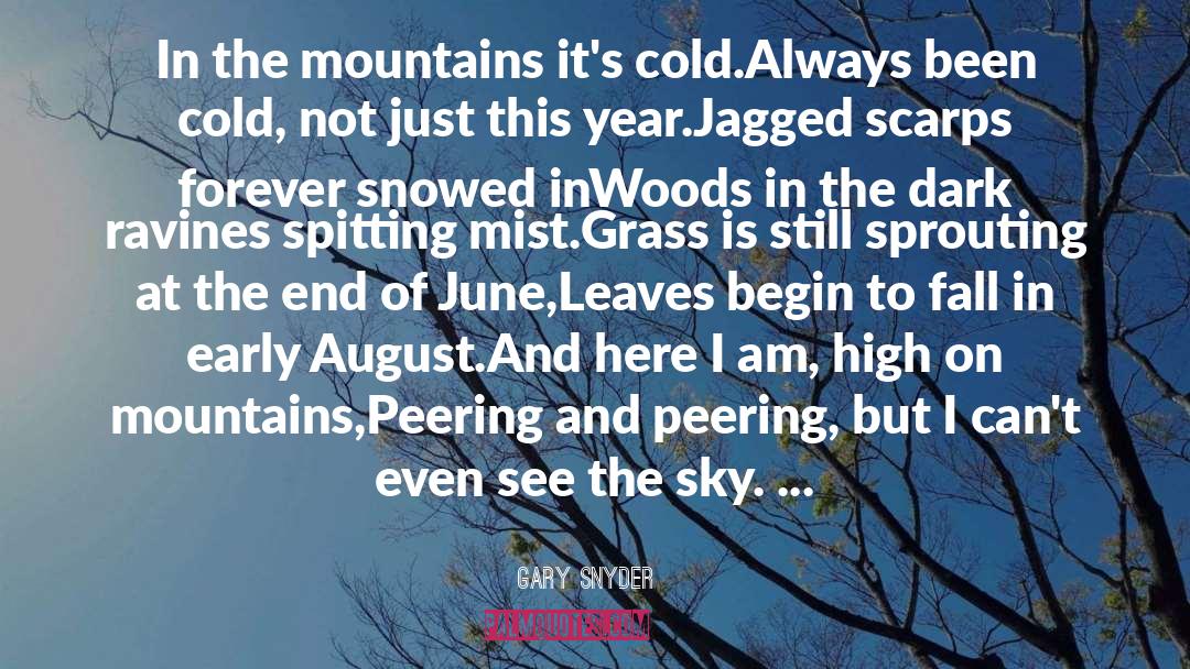 Cold Mountain quotes by Gary Snyder