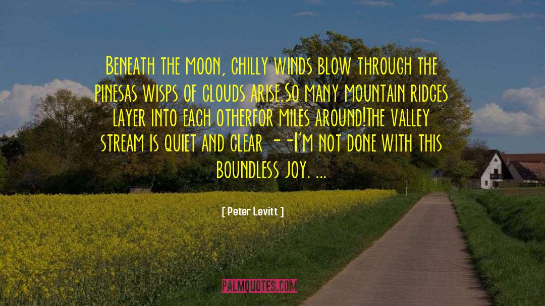 Cold Mountain quotes by Peter Levitt