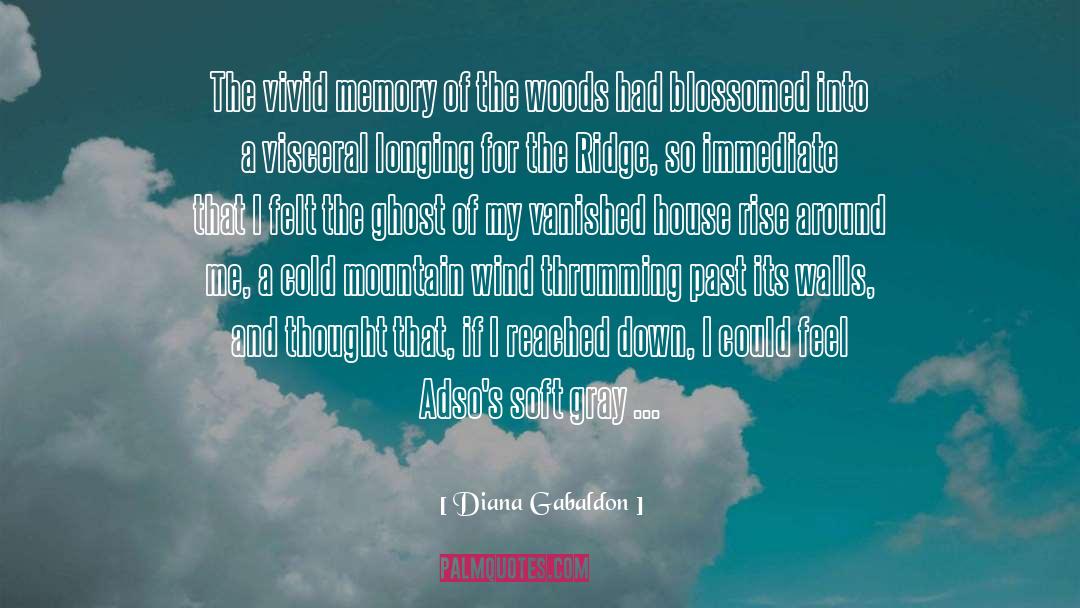 Cold Mountain quotes by Diana Gabaldon