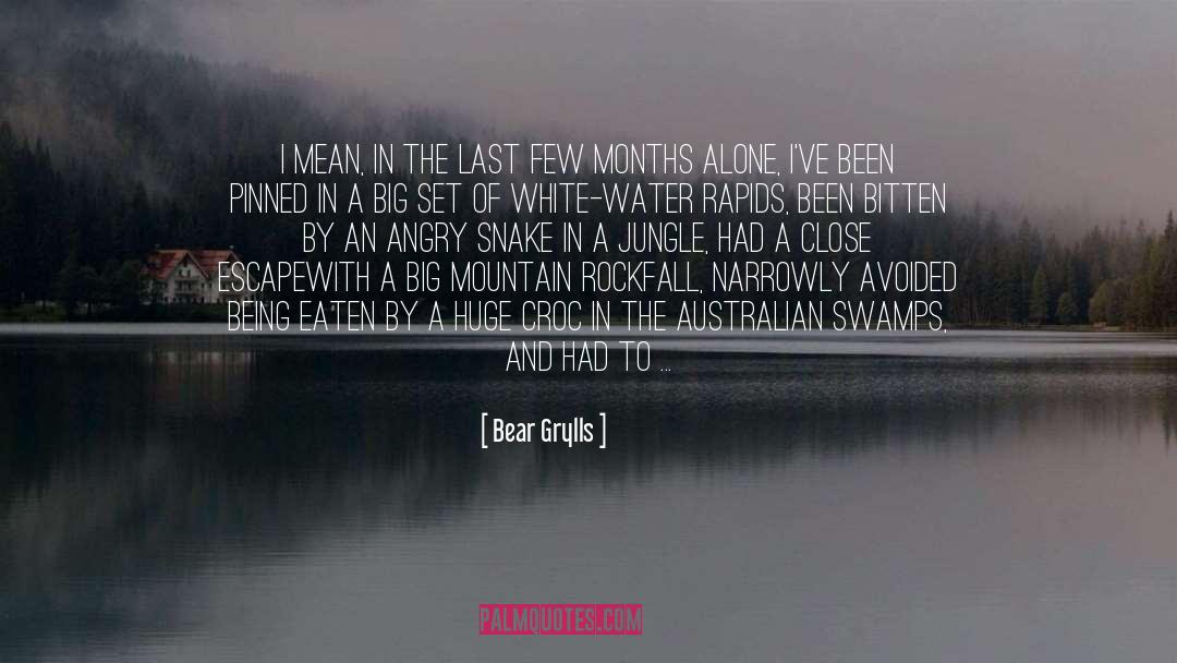 Cold Mountain quotes by Bear Grylls