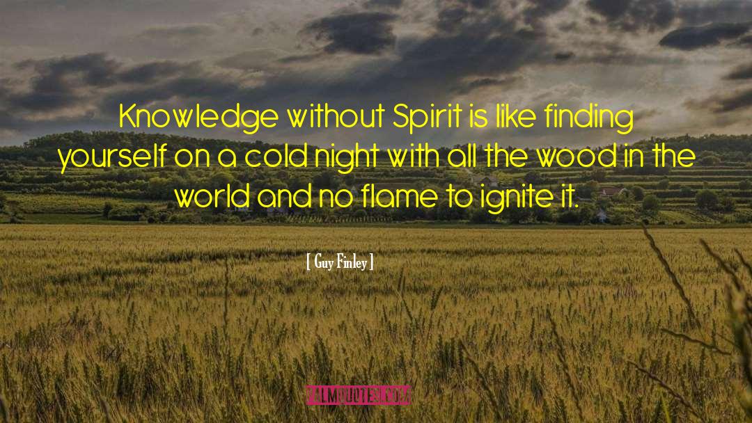 Cold Night quotes by Guy Finley