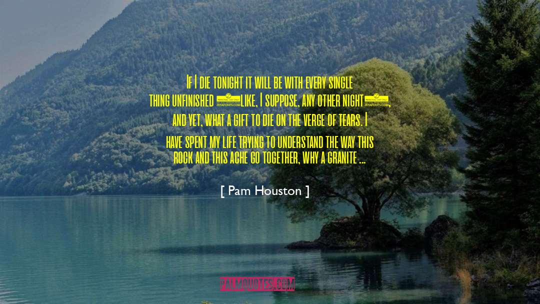 Cold Night quotes by Pam Houston