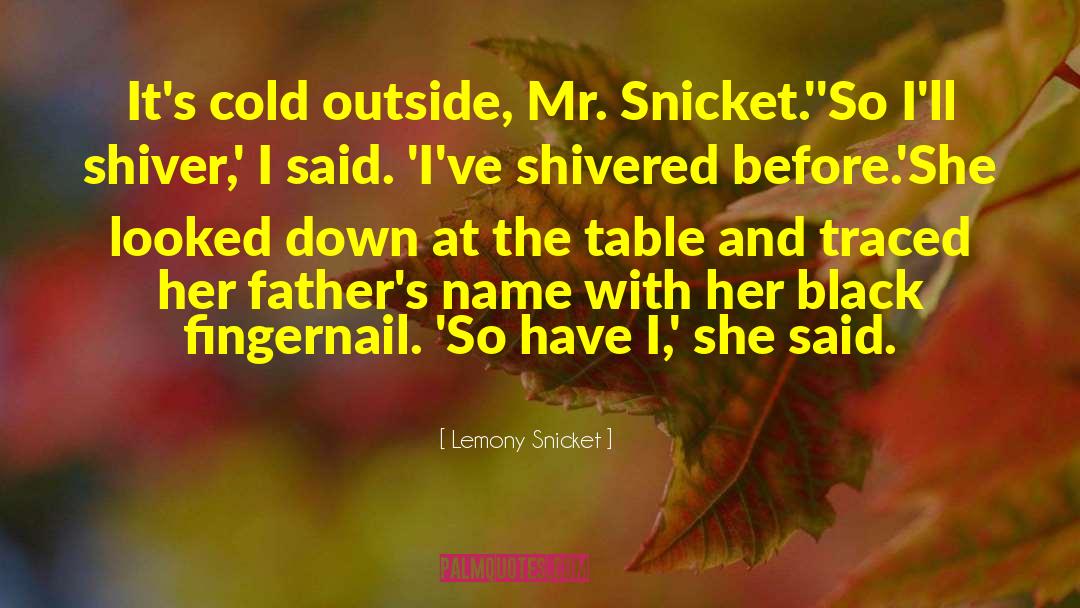 Cold Outside quotes by Lemony Snicket