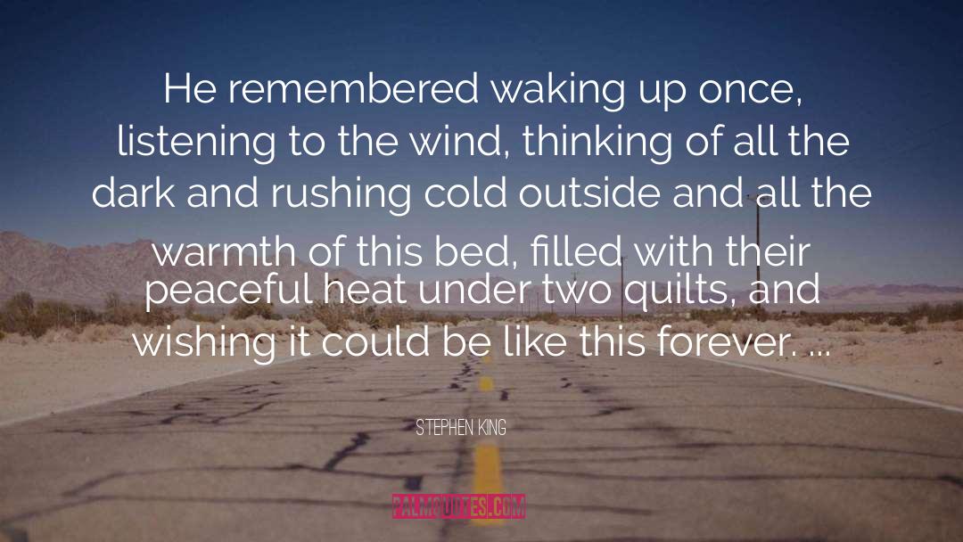 Cold Outside quotes by Stephen King