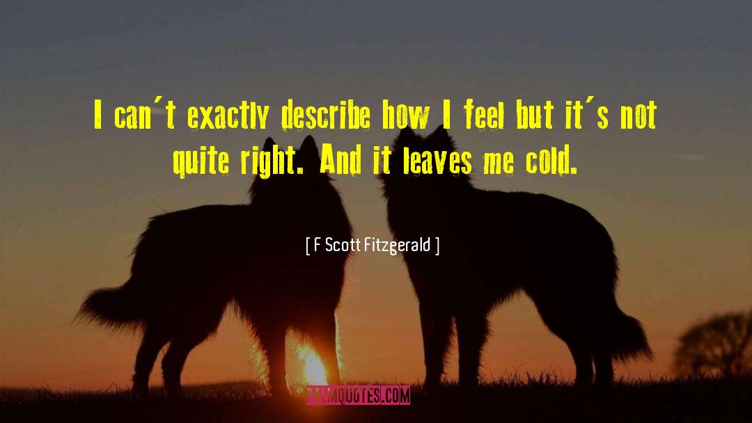 Cold Outside quotes by F Scott Fitzgerald