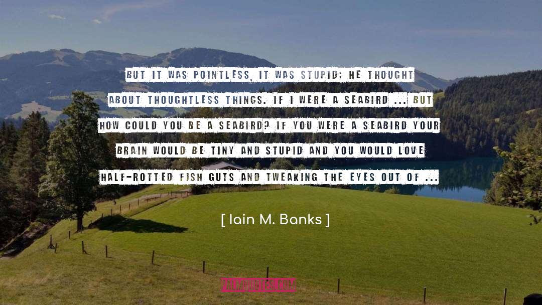 Cold Snap As Yearning quotes by Iain M. Banks