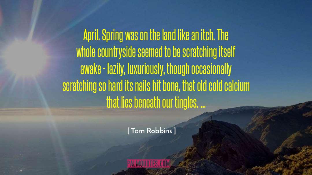 Cold Touch quotes by Tom Robbins