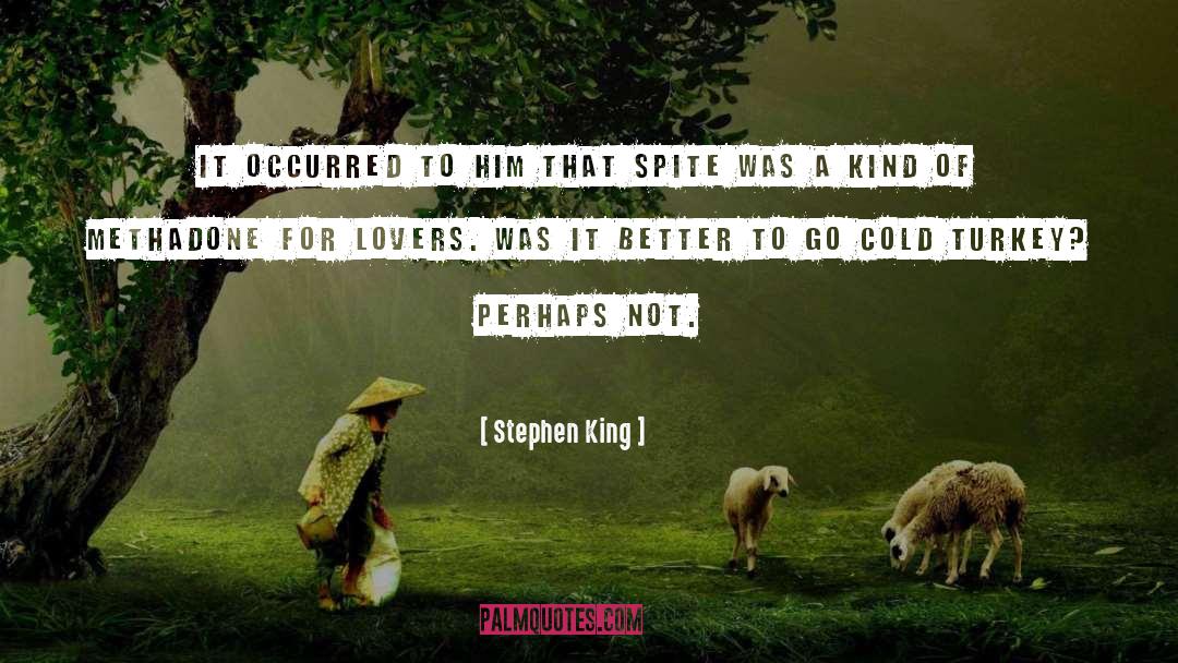 Cold Turkey quotes by Stephen King