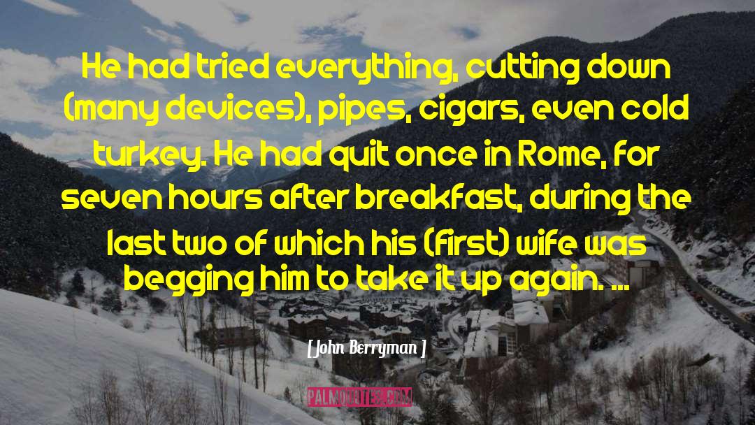 Cold Turkey quotes by John Berryman