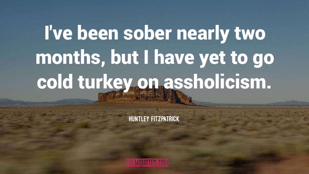 Cold Turkey quotes by Huntley Fitzpatrick