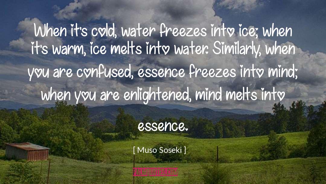 Cold Water quotes by Muso Soseki