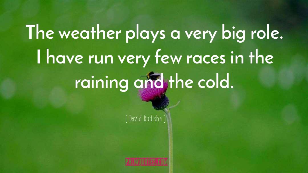 Cold Weather quotes by David Rudisha