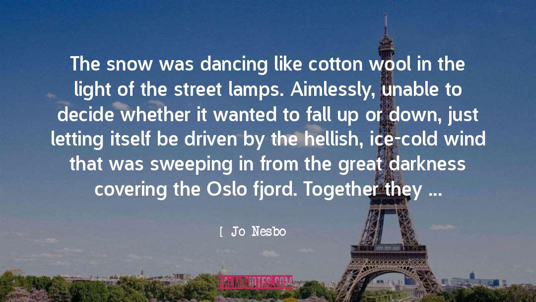 Cold Wind quotes by Jo Nesbo