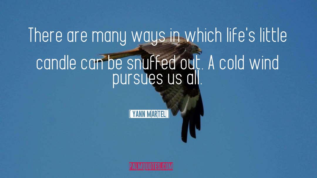 Cold Wind quotes by Yann Martel
