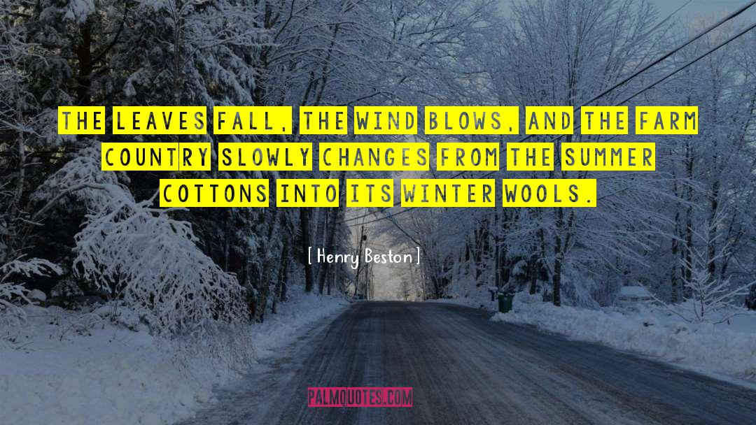 Cold Wind quotes by Henry Beston