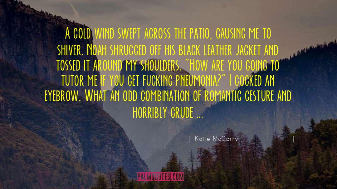 Cold Wind quotes by Katie McGarry