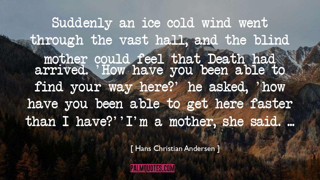 Cold Wind quotes by Hans Christian Andersen