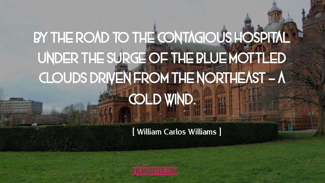 Cold Wind quotes by William Carlos Williams