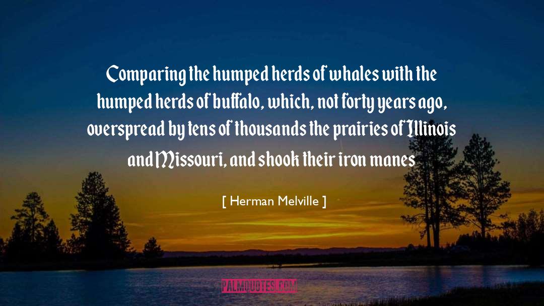 Colello Illinois quotes by Herman Melville