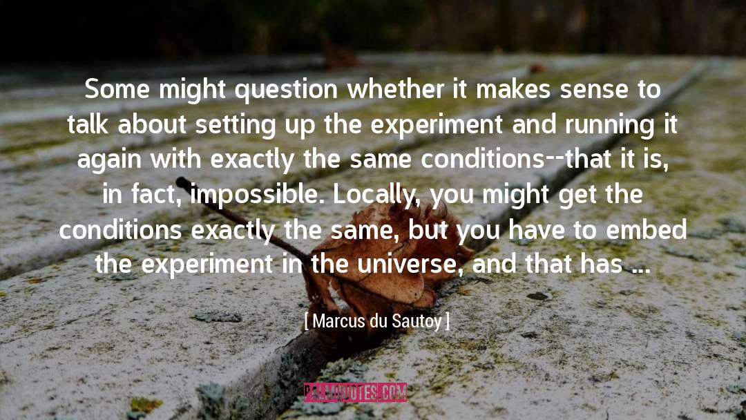 Collapse Of The Wave Function quotes by Marcus Du Sautoy