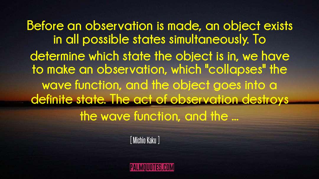 Collapse Of Wave Function quotes by Michio Kaku
