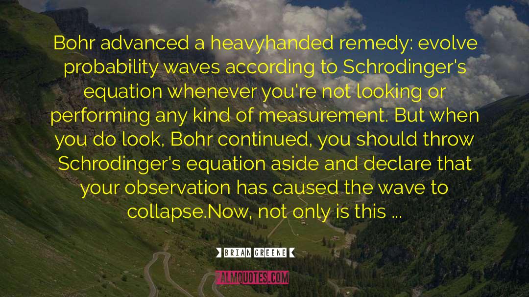 Collapse Of Wave Function quotes by Brian Greene