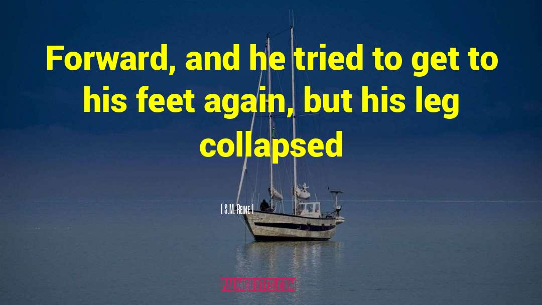 Collapsed quotes by S.M. Reine