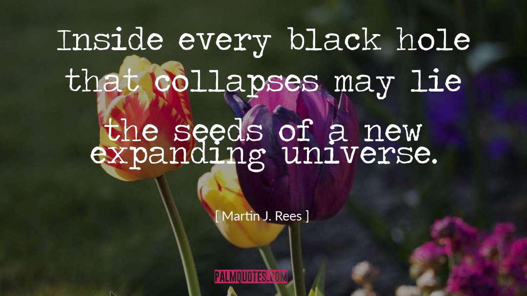 Collapses quotes by Martin J. Rees